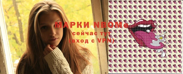 тгк Инсар