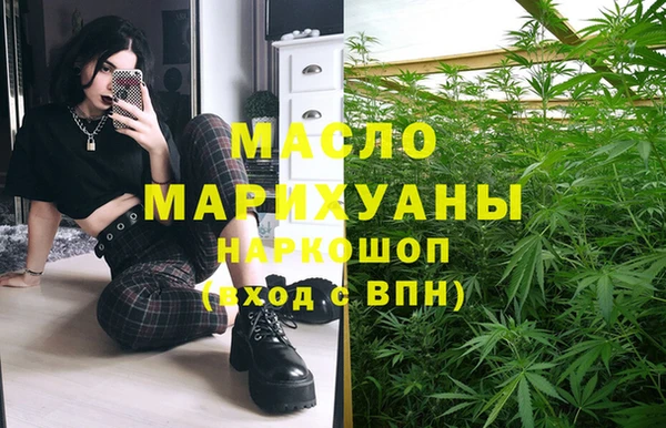 тгк Инсар