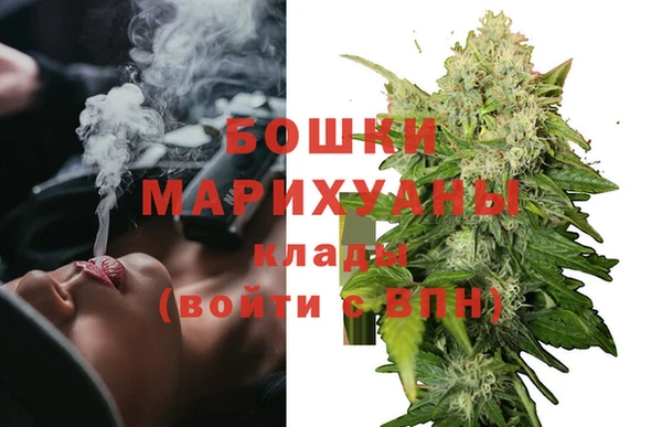 тгк Инсар