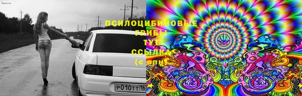 гидра Киреевск