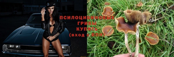 трава Иннополис