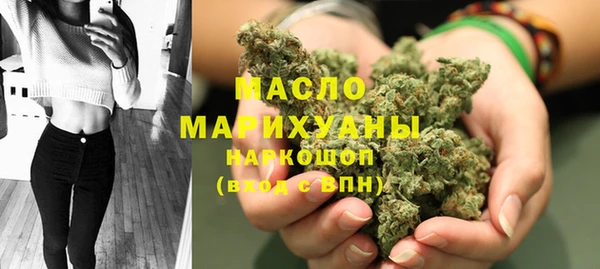 тгк Инсар