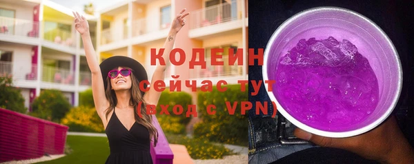 тгк Инсар