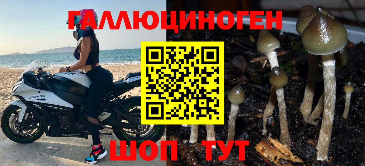 Галлюциногенные грибы Cubensis  хочу наркоту  Ленинск-Кузнецкий  Вход с VPN 